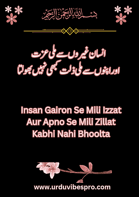 Urdu Quotes Copy Paste Attitude